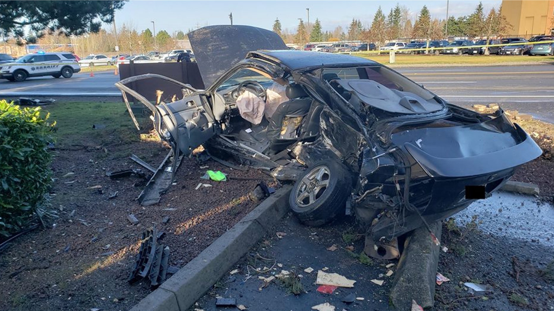 Woman Critically Hurt After Car Crashes Into Tree In Winnipeg Cbc News