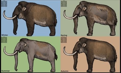 Woolly Mammoth Molted