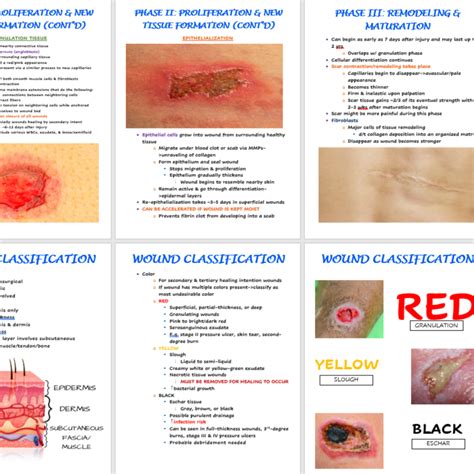 Wound Description With Pictures