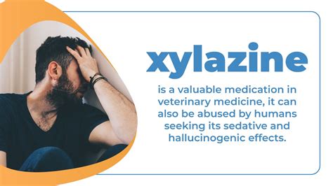 Xylazine Abuse Humans