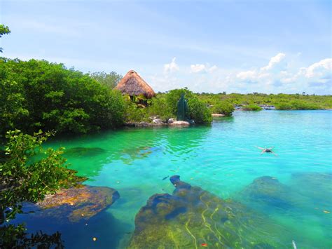 Yal Ku Lagoon Akumal Mexico Quintana Roo Mexico Mexico