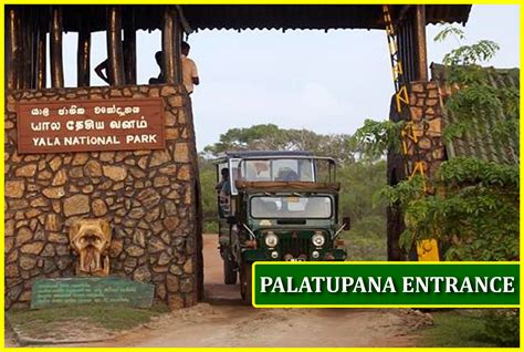 Yala National Park Safari The Best Wildlife Experience