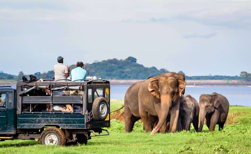 Yala Safari Sri Lanka