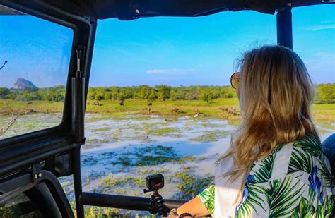 Yala Safari Tours: Insider Tips