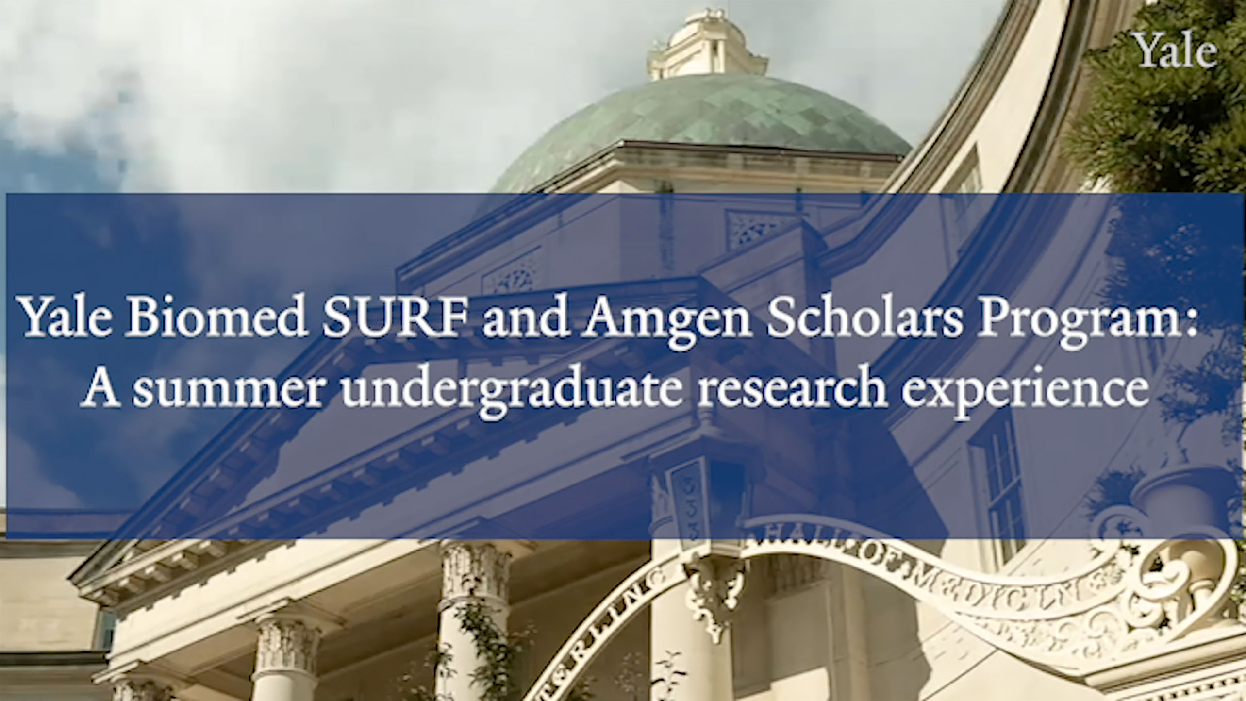 Yale Biomed Surf And Amgen Scholars Program