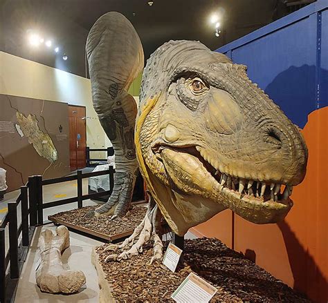 Yale Dinosaur Museum: Discover Fossil Secrets