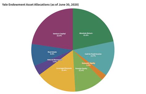 Yale Endowment Guide: Funding Breakdown Revealed