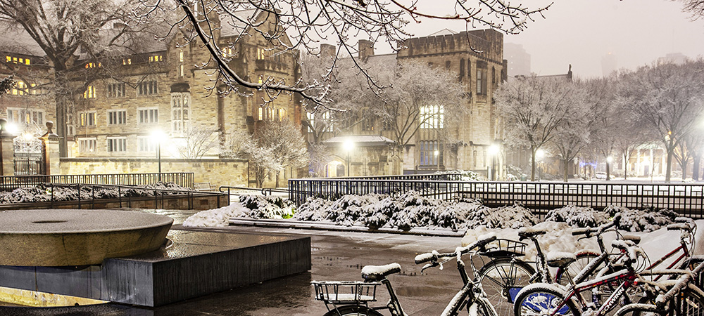 Yale English Faculty