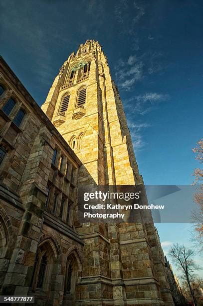 Yale Harkness Photos And Premium High Res Pictures Getty Images