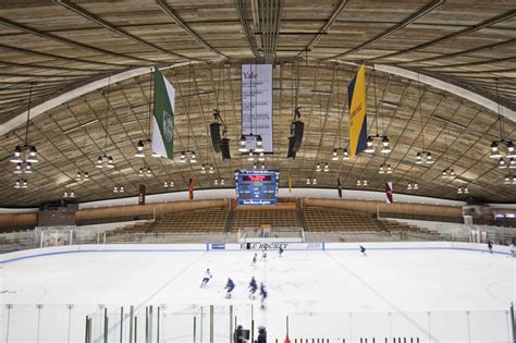 Yale Hockey Coaches Training Tips Revealed Your Land