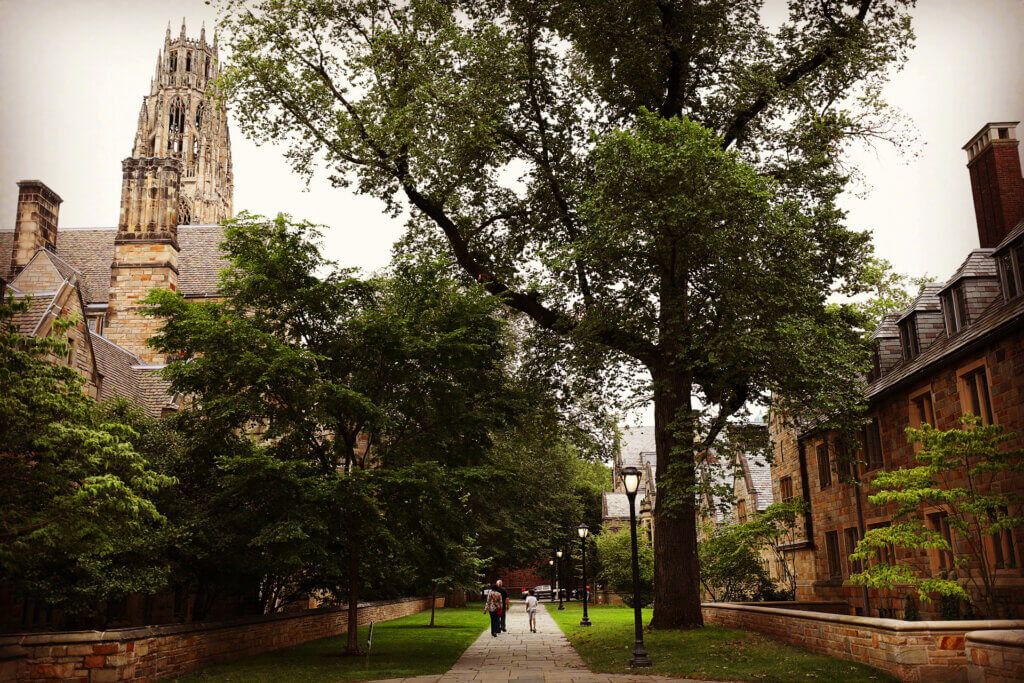 Yale Interview Insights: Get Prepared