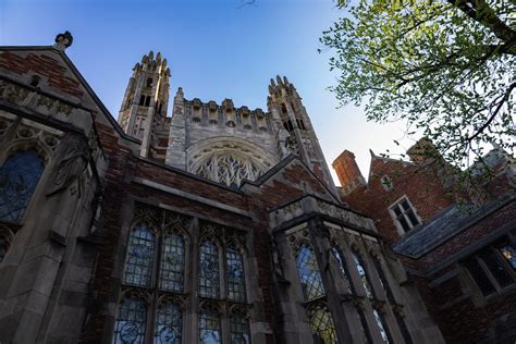 Yale Law Alumni Network: Career Boost