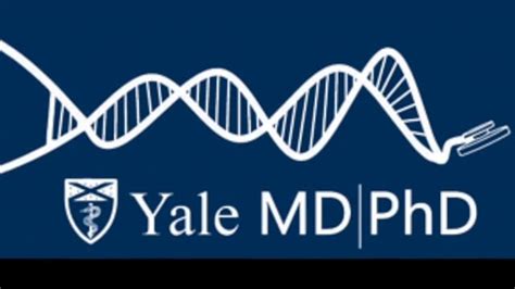 Yale Md Phd Program Vimeo Channel On Vimeo