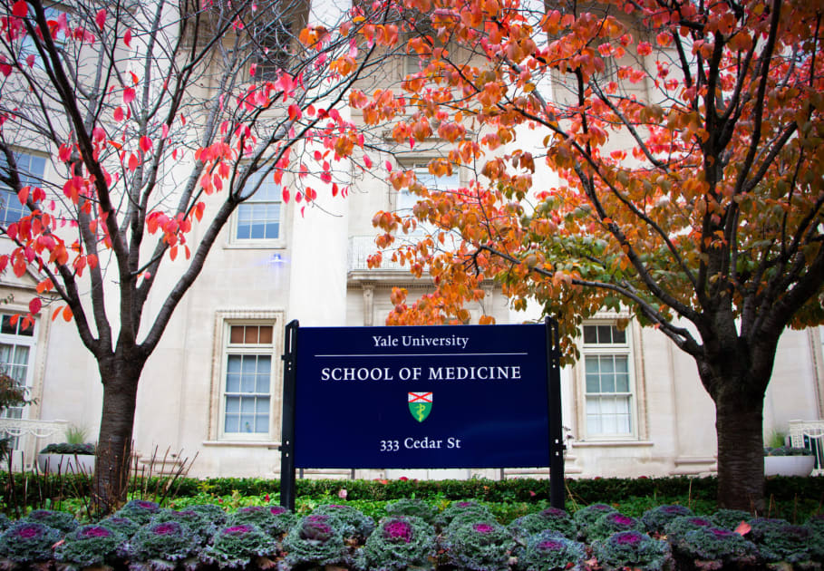 Yale Medical School: Top Ranked Education