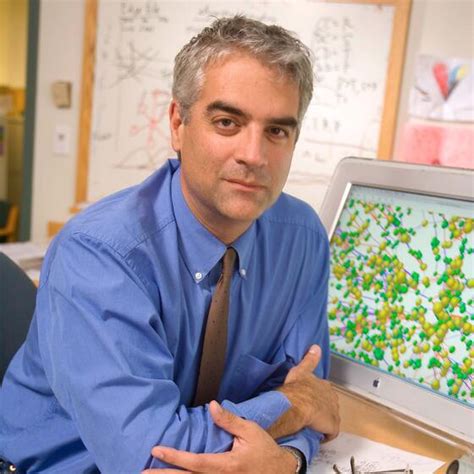 Yale Professor Christakis: Expert Insights Revealed