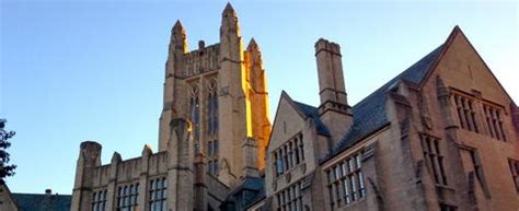 Yale Psychology Major Overview: Career Paths