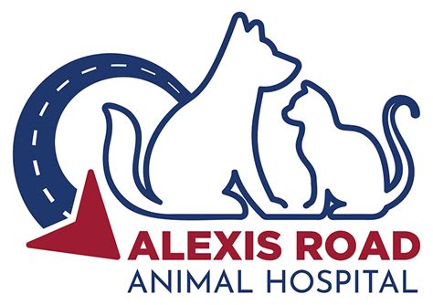 Yale Road Animal Hospital: Expert Pet Care Solutions