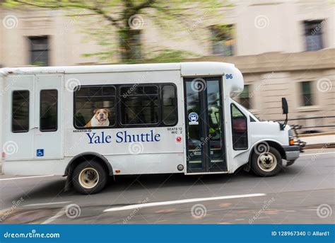 Yale Shuttle Bus En New Haven Connecticut Imagen Editorial Imagen De