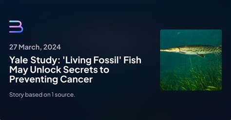 Yale Study Amp 39 Living Fossil Amp 39 Fish May Unlock Secrets To Preventing