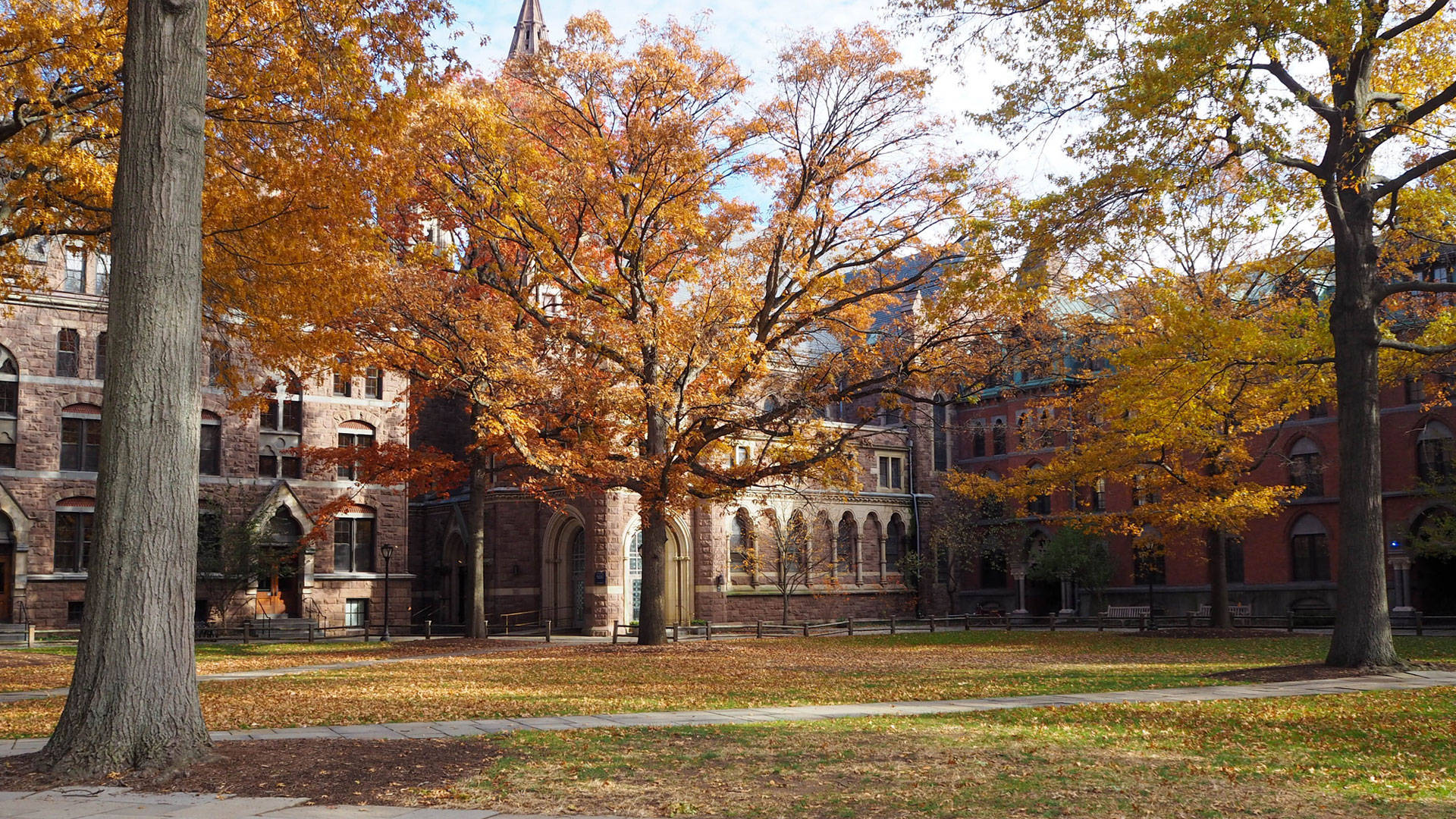 Yale University Doctors