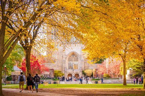 Yale University Tour: Explore Campus Landmarks