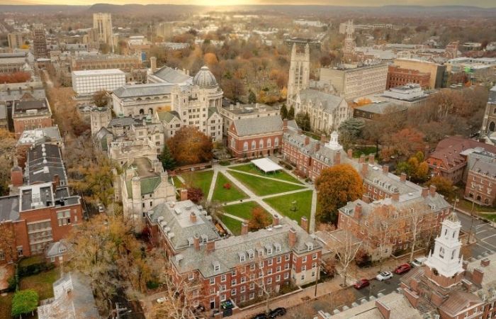 Yale University Viva International