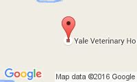 Yale Veterinary Hospital Care Options