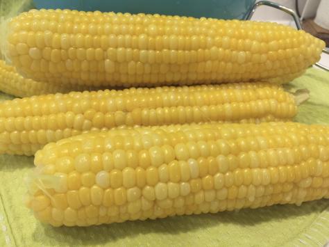 Yard And Garden Planting Sweet Corn Faqs News