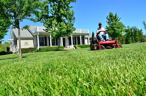 Yard Care Guide: Perfect Lawn