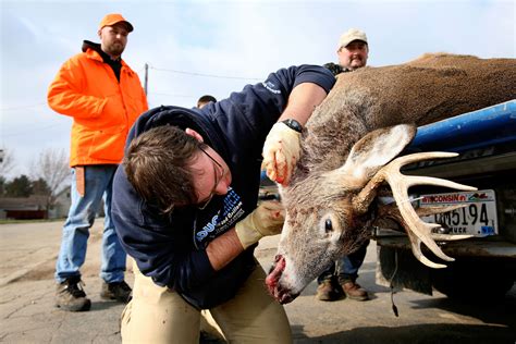 Zombie Deer Disease